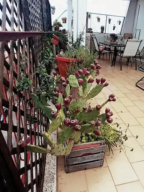 Penthouse In Central Area With Very Large Terrace Lecce Apartment